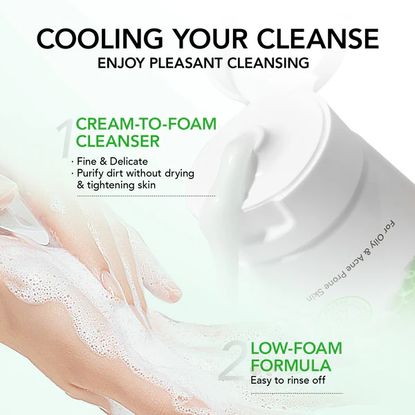 Hyaluronic Acid & BHA Facial Cleanser Korean Face Wash