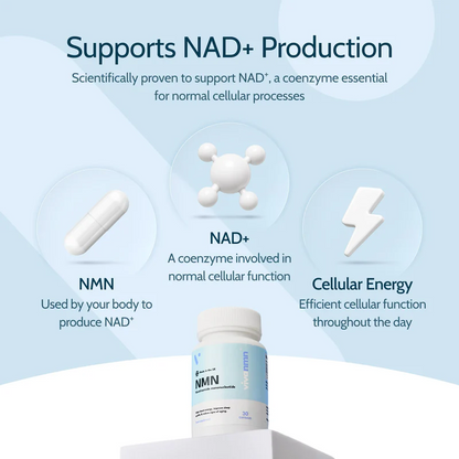 Nicotinamide Mononucleotide (NMN) Capsules Daily Antioxidant Supplement