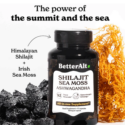 Shilajit Capsules for Adults – Daily Energy & Wellness Support