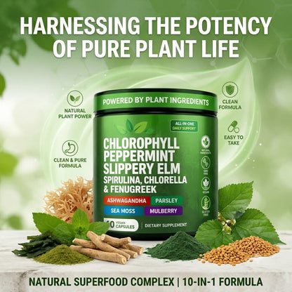 Chlorophyll Capsules Natural Green Supplement