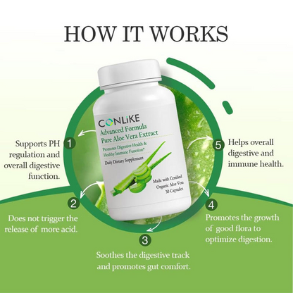 Pure Aloe Vera Extract Capsules – Natural Wellness Supplement for Daily Digestive & Immune Support