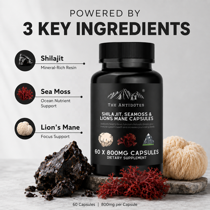 Premium Himalayan Shilajit Capsules with Sea Moss & Lion's Mane