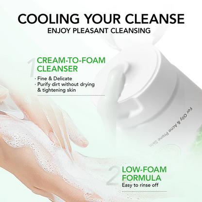 Hyaluronic Acid & BHA Facial Cleanser Korean Face Wash