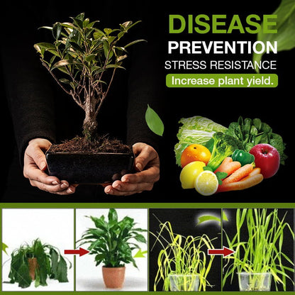Soil Activated Growth Enhancer – Germination Booster & pH Balancing Activator