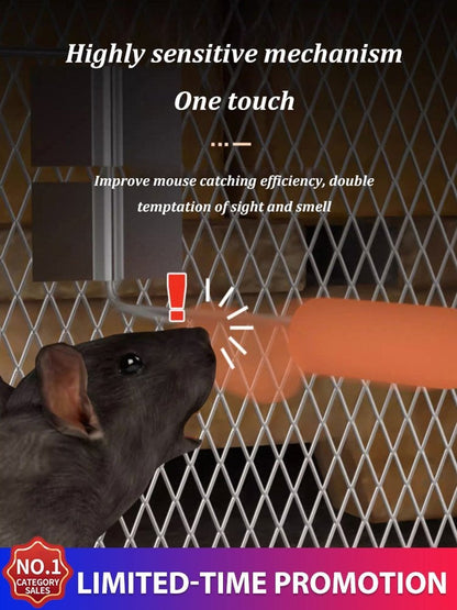 [Kill one nest in one night] Rat hole mouse trap
