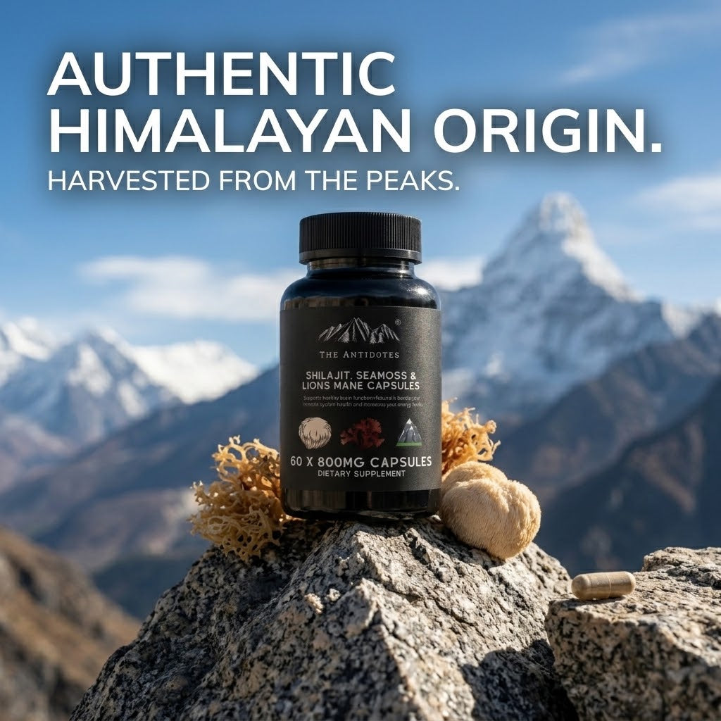 Premium Himalayan Shilajit Capsules with Sea Moss & Lion's Mane