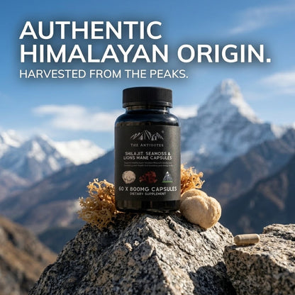 Premium Himalayan Shilajit Capsules with Sea Moss & Lion's Mane